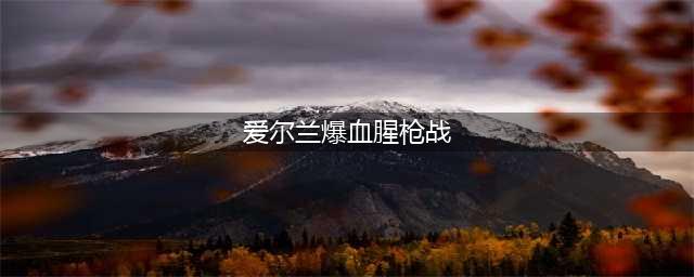 爱尔兰爆血腥枪战 两大黑帮血拼场面震撼如世界末日(爱尔兰爆血腥枪战)
