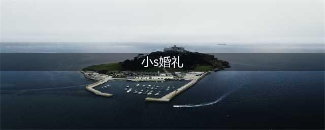 小S与大S：婚礼上的那些事儿(小s婚礼)