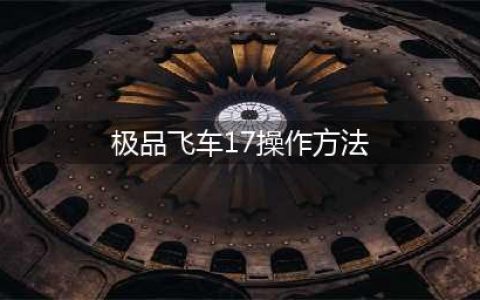 《极品飞车17：最高通缉》操作、玩法详解(极品飞车17操作方法)