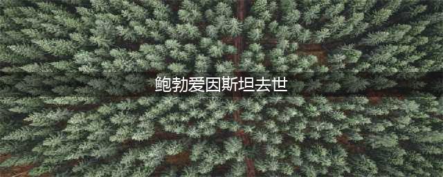 鲍勃爱因斯坦去世 简介资料照片作品介绍(鲍勃爱因斯坦去世)