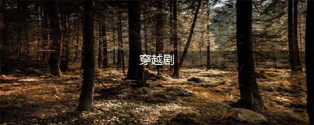 11部穿越类型的电视剧，你看过几部？你最喜欢的是哪一部？(穿越剧)