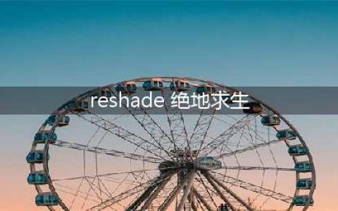 《绝地求生大逃杀》Reshade画质补丁怎么设置 Reshade设置教程介绍