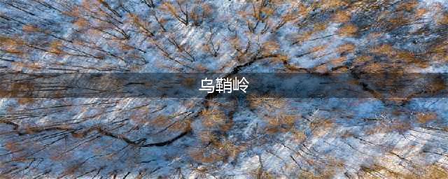 猎人生存学校•滑雪学院2024乌鞘岭【5天4夜滑雪冬令营】第三日(乌鞘岭)