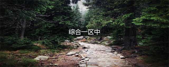 盛典展播｜从职普融通走向综合高中，拆掉的“隔墙”有何价值？(综合一区中)