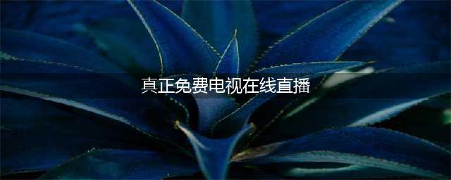五款免费实用电视直播软件推荐(真正免费电视在线直播)