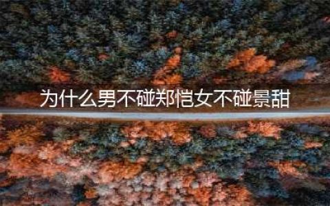 为什么男不碰郑恺女不碰景甜 小猎豹父母是谁家庭背景深扒(为什么男不碰郑恺女不碰景甜)