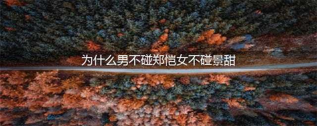 为什么男不碰郑恺女不碰景甜 小猎豹父母是谁家庭背景深扒(为什么男不碰郑恺女不碰景甜)