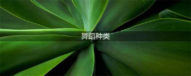 十大舞蹈种类，有你练的舞种吗？(舞蹈种类)
