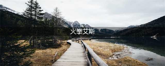 《航海王燃烧意志》艾斯火拳如何加点 艾斯加点攻略指南(火拳艾斯)