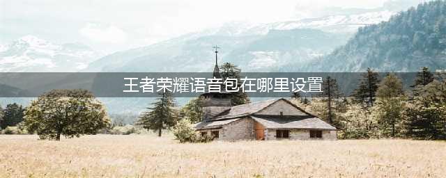 《王者荣耀》语音包怎么设置 英雄语音包设置攻略(王者荣耀语音包在哪里设置)