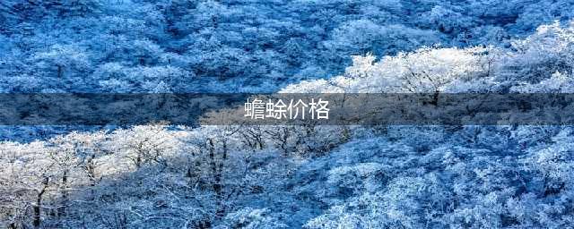 6人抓943只蟾蜍被捕！癞蛤蟆到底有什么用？为何总让人“惦记”？(蟾蜍价格)