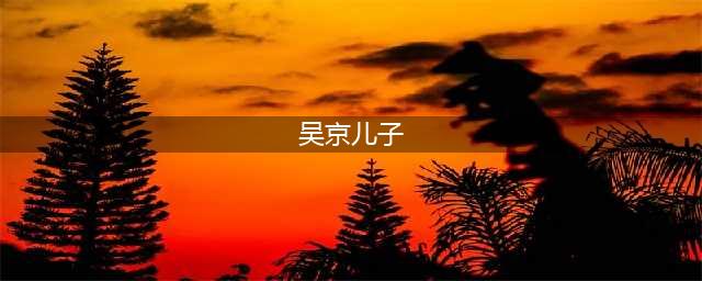 吴京的两个儿子长大了，7岁大儿子很独立，4岁老二靠发型“出圈”(吴京儿子)