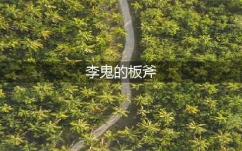 《小浣熊百将传》李鬼的板斧打一歇后语是什么(李鬼的板斧)