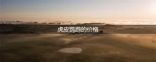 这几种常见的鹦鹉，据说80%的人都没见过(虎皮鹦鹉的价格)