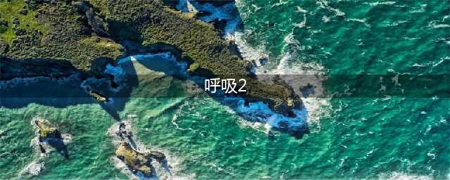2021美国恐怖片《屏住呼吸2》，从恐怖片变成动作片的过程。(呼吸2)