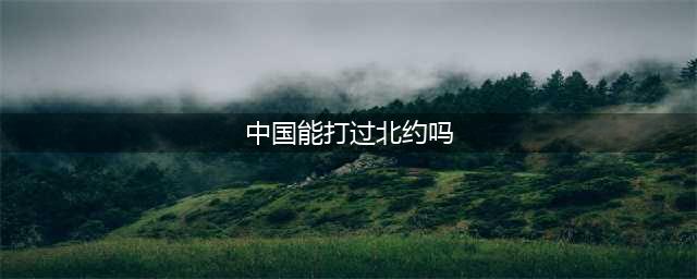 中国单挑北约，能否一战成名？军事专家揭秘中华神盾的真实实力(中国能打过北约吗)