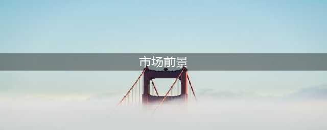 市场前景的分析，主要包括哪几个方面？(市场前景)