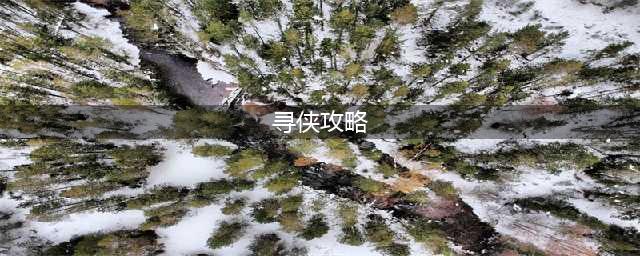 新手技巧篇-玩转寻侠-新手攻略《寻侠之侠影》