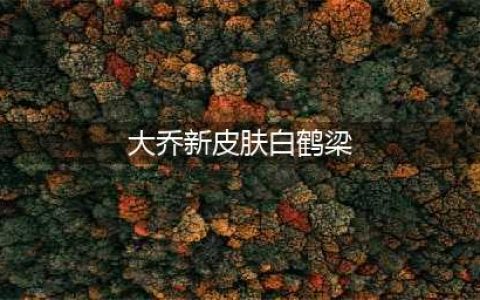 《王者荣耀》大乔新皮肤白鹤梁女神皮肤曝光介绍