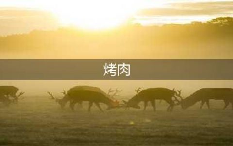 15种家庭版烤肉做法，比外面烧烤摊的好吃太多，简单易学！(烤肉)