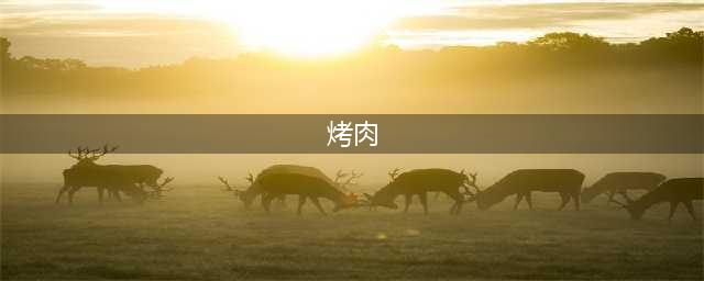 15种家庭版烤肉做法，比外面烧烤摊的好吃太多，简单易学！(烤肉)