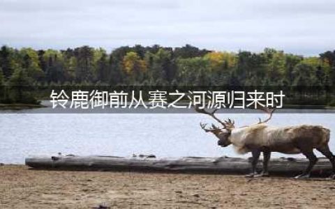 阴阳师铃鹿御前从赛之河源归来时外界过去了多长时间