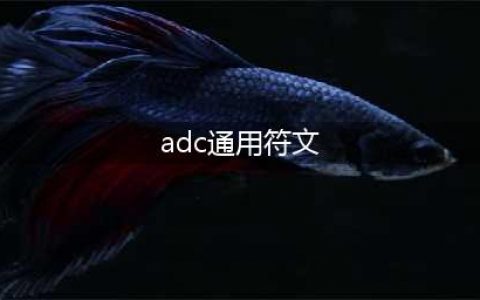 《英雄联盟》S9ADC通用符文怎么搭配 S9ADC通用符文搭配推荐(adc通用符文)