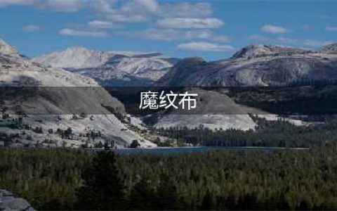 《魔兽世界》魔纹布怎么获得 魔纹布获得方法(魔纹布)