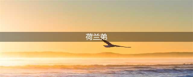 关于“荷兰弟”，你可能不知道的七件事(荷兰弟)
