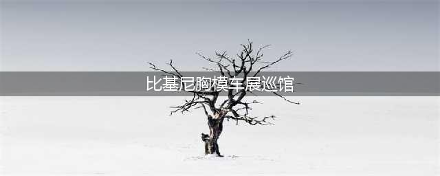 胸模着京剧比基尼车展巡馆，保安一对一贴身保护(比基尼胸模车展巡馆)