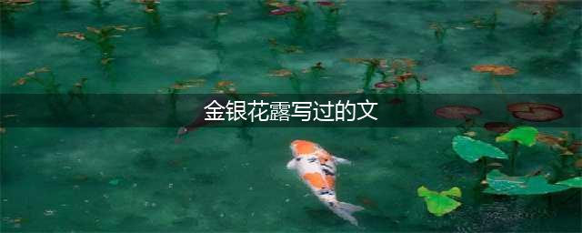 金银花露代表文 金银花露写过哪些文(金银花露写过的文)