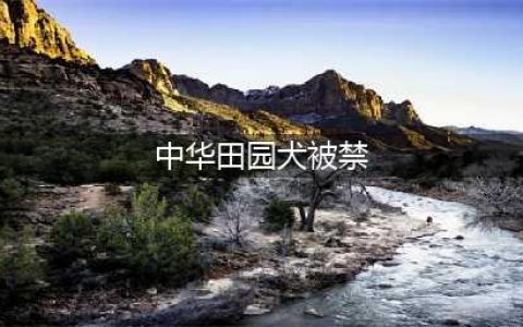 关于“禁狗令”的争论，炸了！中华田园犬被禁是因为基因问题？各方说法都在这了！(中华田园犬被禁)