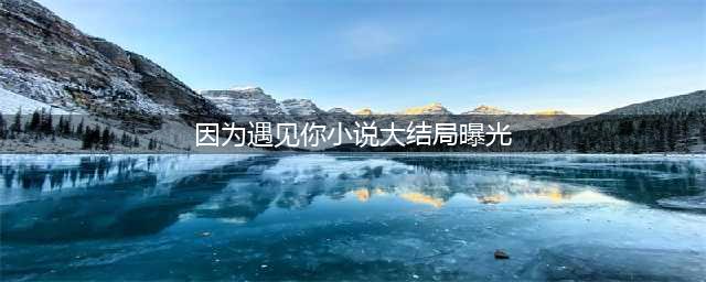 《因为遇见你》小说大结局曝光 金依蓓与李云凯结婚并怀了双胞胎(因为遇见你小说大结局曝光)