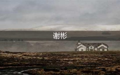 中国刀塔人之DD谢彬传：谢彬，DD，湖蓝，China(谢彬)