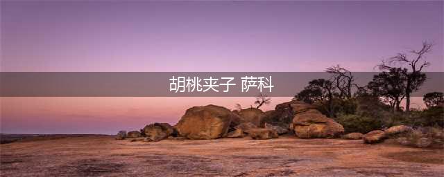 胡桃夹子萨科很稀有吗(胡桃夹子 萨科)