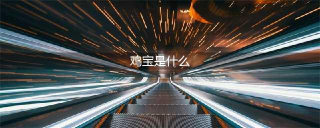 鸡宝是什么东西？(鸡宝是什么)