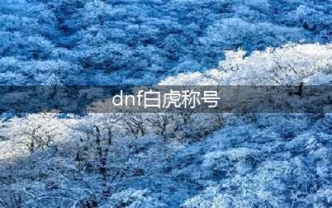 白虎之力是地位最高称号 DNF中土豪称号TOP7(dnf白虎称号)
