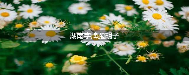 湖南跑胡子怎么玩？规则和玩法是什么？(湖南字牌跑胡子)