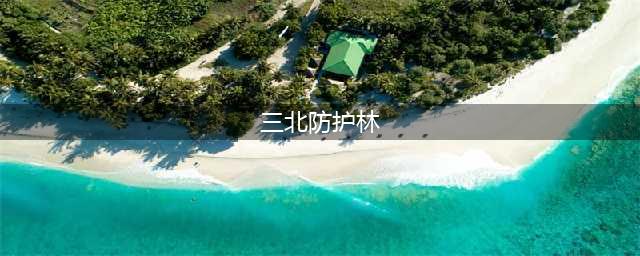 当年名噪一时的“三北防护林”杨树如今“一推就倒”？网友们坐不住了！…(三北防护林)