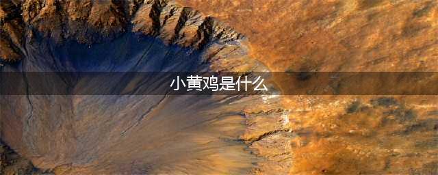 DNF小黄鸡称号有什么用属性详细说明(小黄鸡是什么)