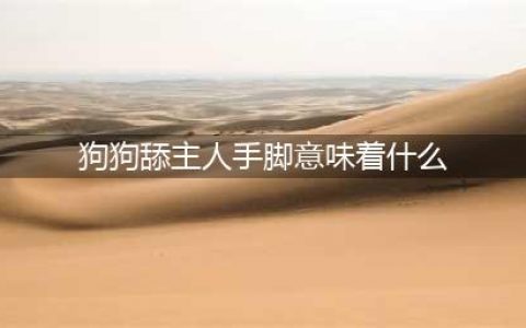 狗狗肢体语言解读：狗狗为什么要舔主人，这个动作相当于哪些意思(狗狗舔主人手脚意味着什么)