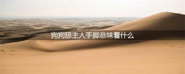 狗狗肢体语言解读：狗狗为什么要舔主人，这个动作相当于哪些意思(狗狗舔主人手脚意味着什么)
