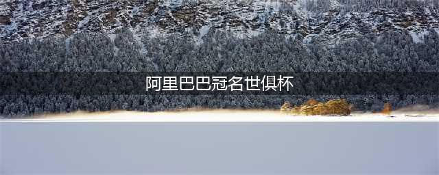 阿里巴巴获得世俱杯八年冠名权(组图)(阿里巴巴冠名世俱杯)
