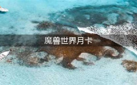 《魔兽世界》月卡充值和点卡充值哪个好 月卡充值和点卡充值性价比介绍(魔兽世界月卡)