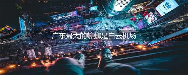 广东最大的蟑螂竟然是白云机场！官方亲自承认(广东最大的蟑螂是白云机场)