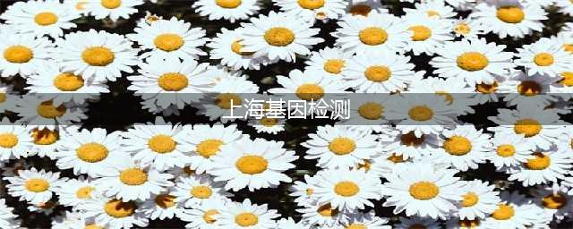 上海清学基因检测:健康管理的关键在于先知(上海基因检测)