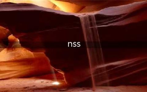 三种盐雾试验的分类详解（NSS，AASS,CASS）(nss)