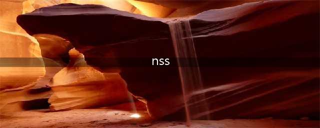 三种盐雾试验的分类详解（NSS，AASS,CASS）(nss)