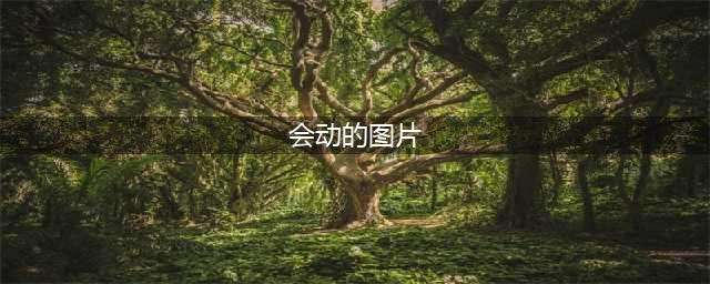 150张会动的照片，看一眼就入迷！太！绝！了！(会动的图片)