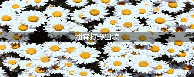 《英雄联盟》s11潘森打野出装方法分享(潘森打野出装)